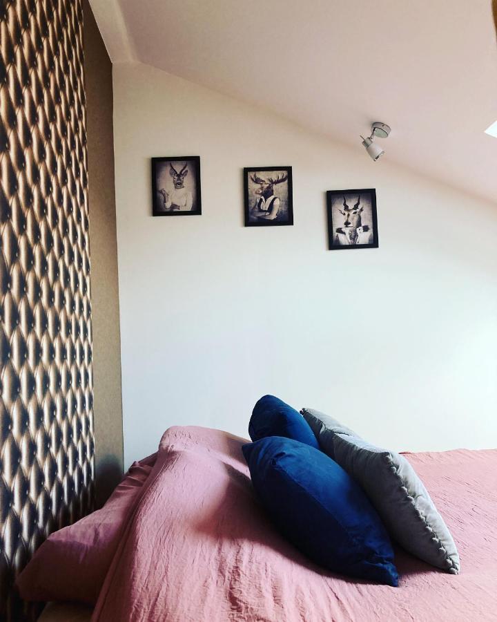 Le Carrosse, La Diligence, Centre Saint Jean De Losne Tarif 2Pers 1 Chambre, Tarif 4 Pers 2 Chambres 외부 사진